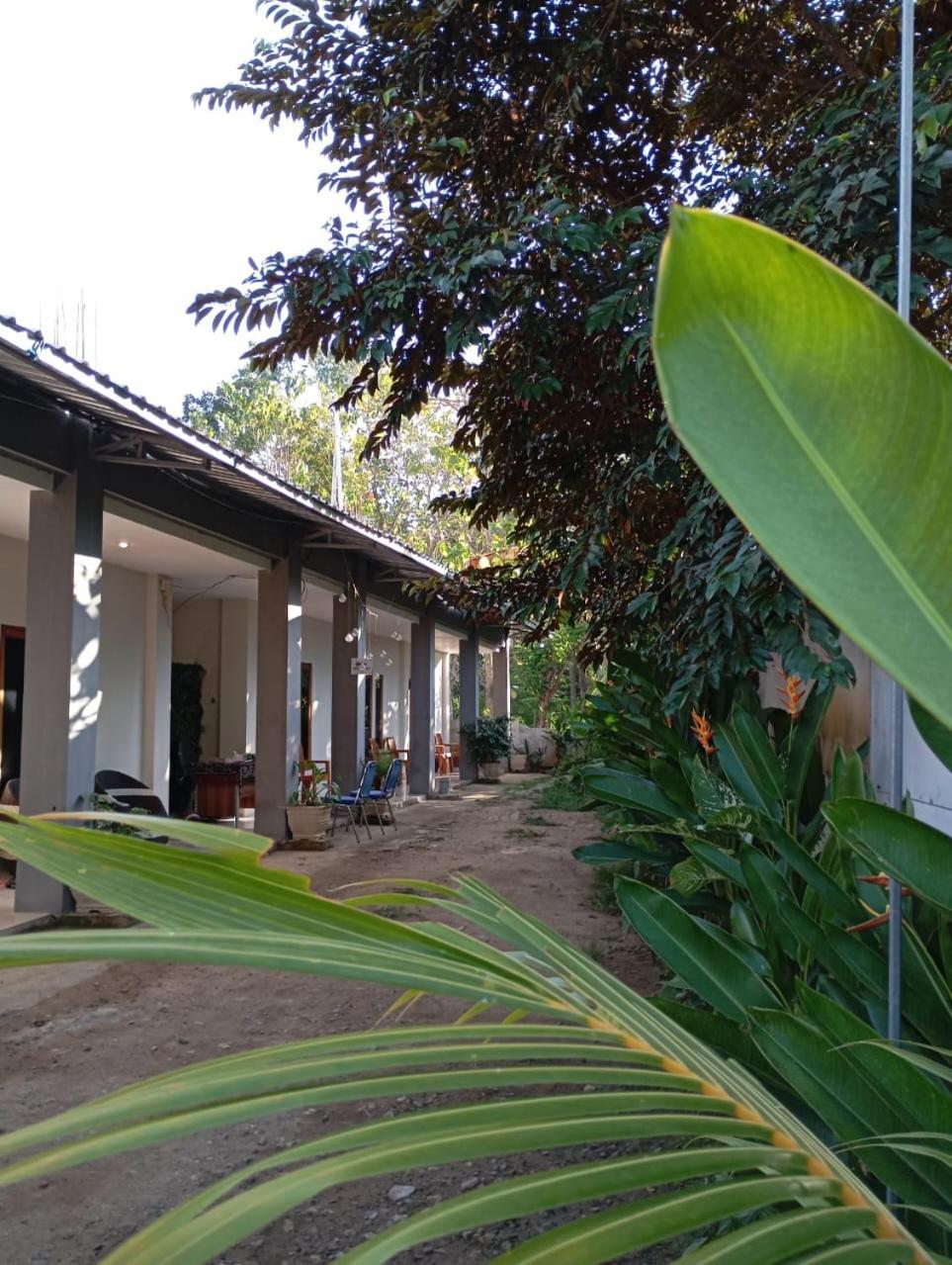 Wl Guesthouse Labuan Bajo Bagian luar foto