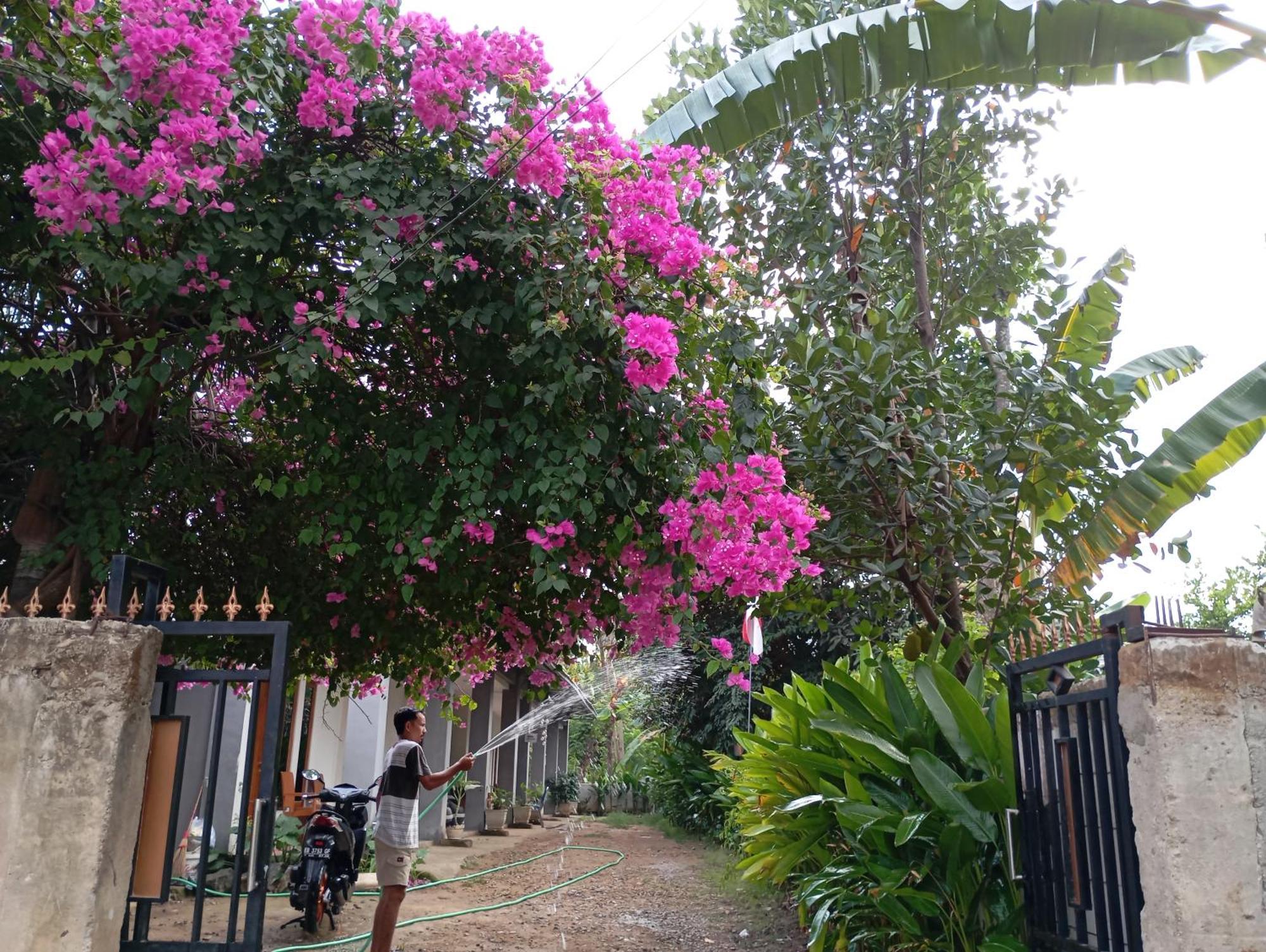 Wl Guesthouse Labuan Bajo Bagian luar foto