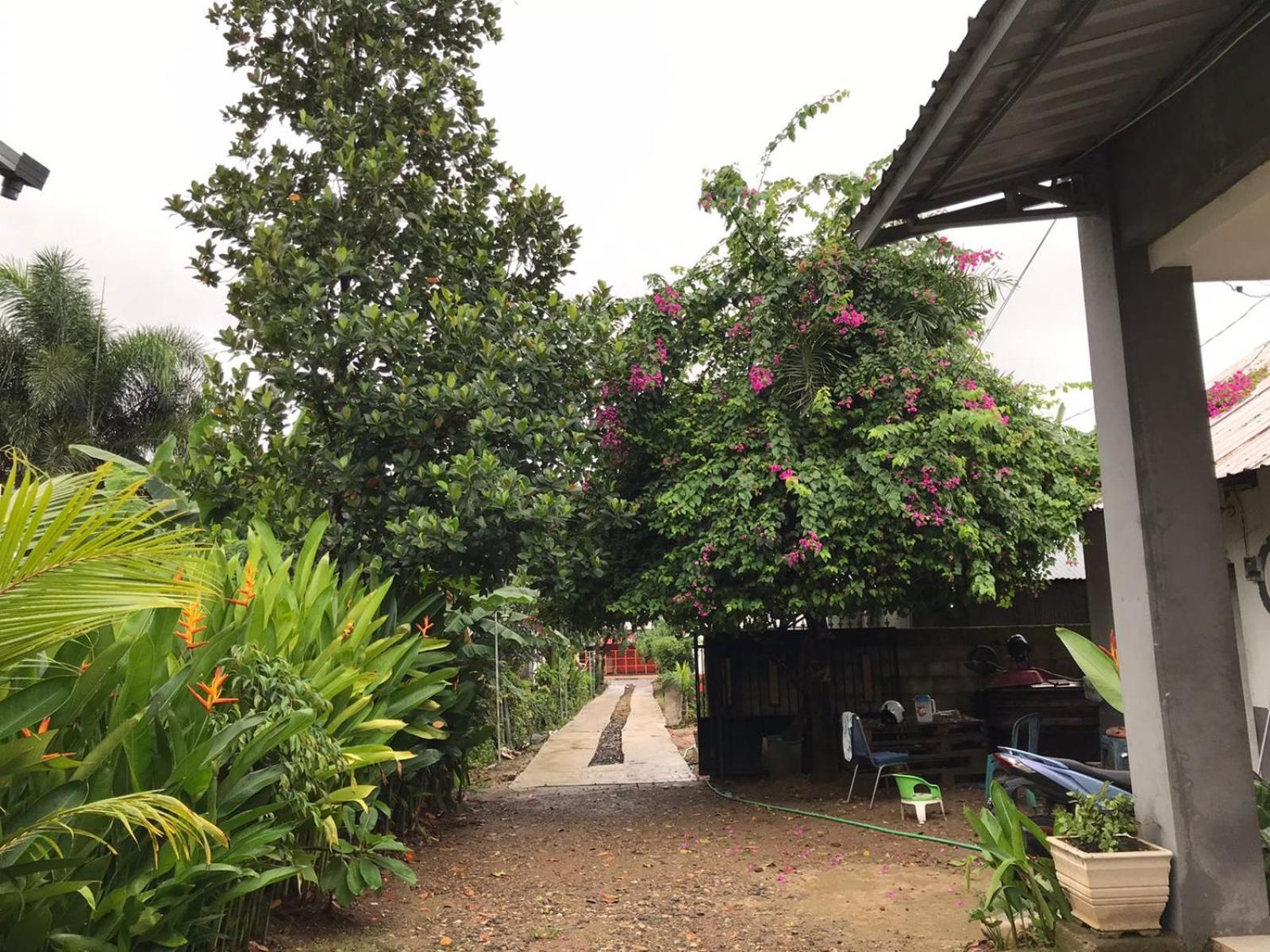Wl Guesthouse Labuan Bajo Bagian luar foto